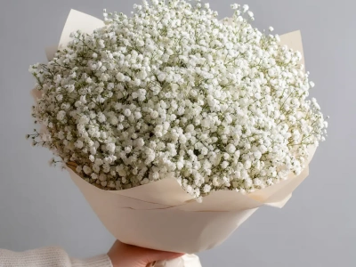 Монобукет из белой гипсофилы