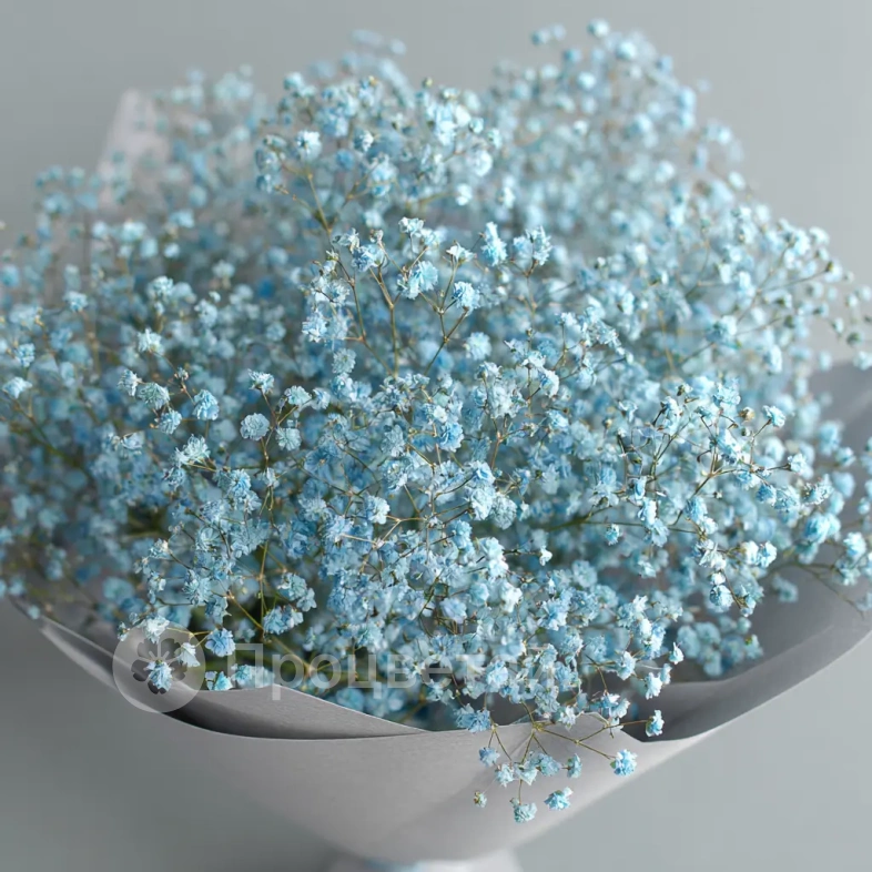 Монобукет из голубой гипсофилы
