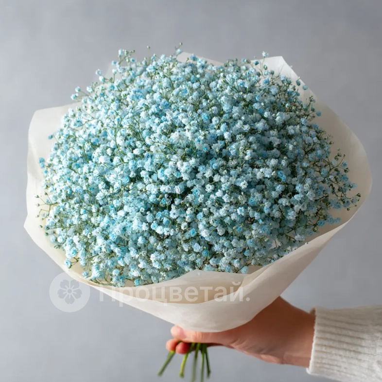 Монобукет из голубой гипсофилы