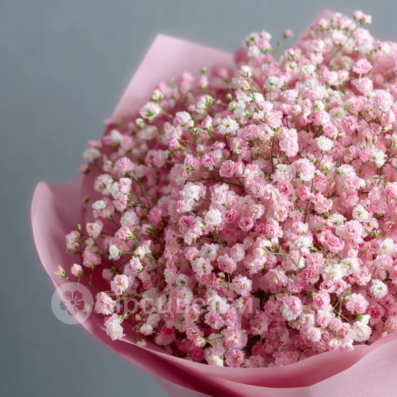 Монобукет из гипсофилы &laquo;Воздушная сказка&raquo;