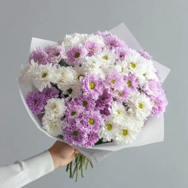 Монобукет из хризантем «Нежный комплимент»