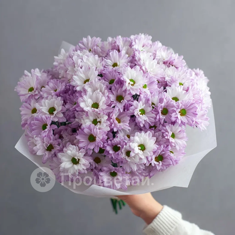 Монобукет из хризантем &laquo;Нежный комплимент&raquo;